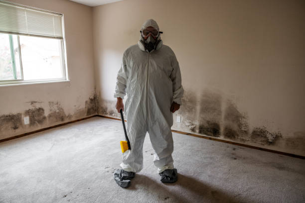 Best Certified Mold Removal  in Rocky Point, NC